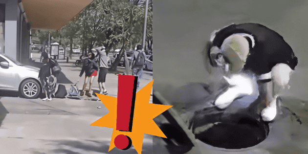 Autoridades piden reportes en tiempo real por personas dentro del drenaje