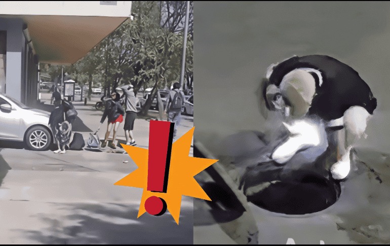 Alcantarillas de Guadalajara: lo que hay detrás de los videos donde entran y salen personas de estas. ESPECIAL / X 