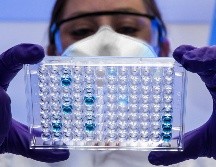 El primer brote en Malasia provocó la muerte de 100 personas y obligó al sacrificio de un millón de cerdos para frenar la propagación. UNSPLASH