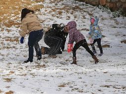 La nevada ocurre en el marco de una tormenta invernal que afecta amplias zonas del sur de Estados Unidos. EFE/L. Torres