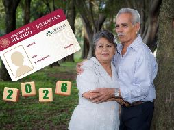 La inscripción al Inapam es un procedimiento totalmente gratuito y se puede completar en los módulos de atención disponibles en cada estado. ESPECIAL / CANVA e Inapam