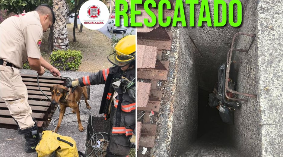 Protección Civil y Bomberos de Guadalajara reafirmó su compromiso de mantener la seguridad de todos los seres vivos en el municipio. ESPECIAL / FACEBOOK Protección Civil y Bomberos Guadalajara