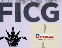 Revelan a Chile como invitado del FICG en su edición 41. ESPECIAL