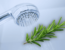 Para aprovechar al máximo sus efectos, se recomienda colgar una ramita fresca cerca de la regadera o colocarla en un recipiente seco. ESPECIAL / CANVA