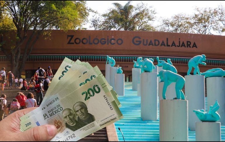 El Zoológico Guadalajara está ubicado en la Barranca de Huentitán, y es una opción ideal para planes familiares, escolares y turísticos. ESPECIAL / EL INFORMADOR y CANVA