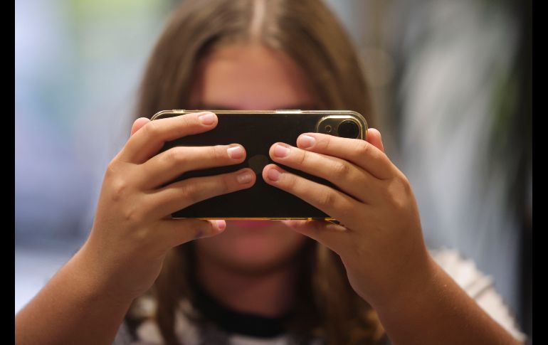 Con solo dos artículos, el proyecto pretende establecer una normativa 