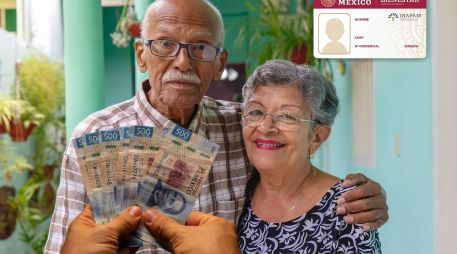 El INAPAM es una de las instituciones encargadas de promover el bienestar integral de las personas mayores de 60 años en nuestro país. ESPECIAL / CANVA e INAPAM
