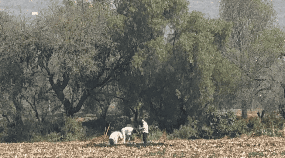 Las autoridades informaron que no existe riesgo para la población; sin embargo, exhortaron a la ciudadanía a permitir el libre tránsito del personal de emergencia. CORTESÍA/ Secretaría de Seguridad Pública de Hidalgo