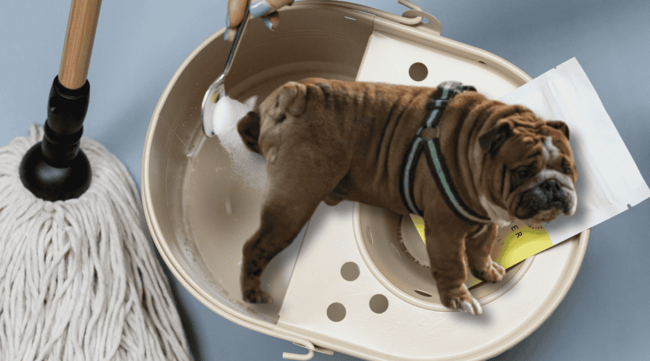 Para quitar el olor de orines de tu perro, solo basta con utilizar ingredientes que posiblemente tengas en tu hogar. UNSPLASH /  SPRUCE REFILLABLE CLEANING / UNSPLASH / S. ARTEAGA