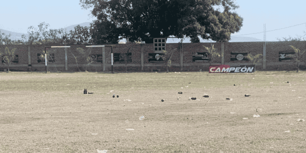 Guanajuato: Caen dos presuntos implicados en masacre de Salamanca