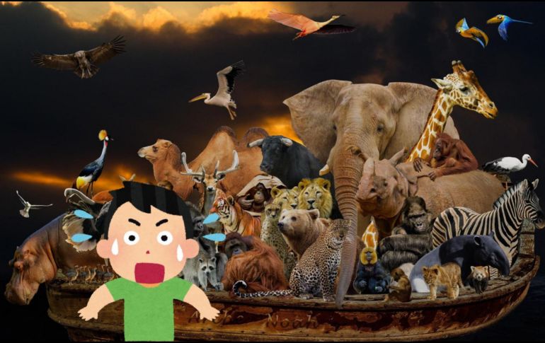 Investigadores señalan que este comportamiento se relaciona con factores emocionales y sociales. PIXABAY/ESPECIAL