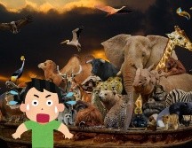 Investigadores señalan que este comportamiento se relaciona con factores emocionales y sociales. PIXABAY/ESPECIAL