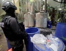 En total se incautaron algo más de 105 toneladas, que posteriormente fueron destruidas, de sustancias como acetato de plomo, cloruro de mercurio, entre otras. EFE/J. C. Cruz