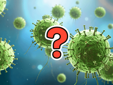 La alerta se originó cuando, el 12 de enero de 2026, fuentes oficiales notificaron dos casos sospechosos de infección por Nipah, de acuerdo con el boletín epidemiológico más reciente de la oficina regional de la Organización Mundial de la Salud (OMS) para el Sudeste Asiático. CANVA