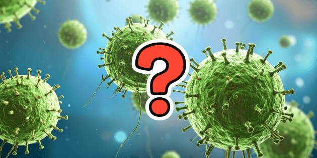 NIPAH: Experto revela porqu&eacute; el virus mortal de la India est&aacute; despertando alarmas