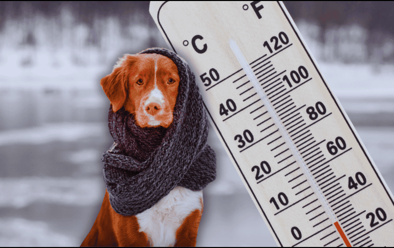 Por el frente frío 32, se prevén condiciones para la caída de lluvia engelante o aguanieve en zonas altas de Chihuahua, Coahuila y Nuevo León. ESPECIAL / CANVA
