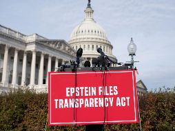 El Departamento de Justicia cumplió la ley al divulgar masivamente archivos del caso Epstein. EFE/ARCHIVO