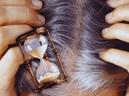 Las canas aparecen por muchos factores y no es repentino. ESPECIAL / CANVA