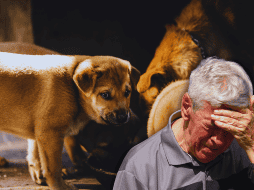 El acompañamiento psicoterapéutico puede resultar de mucha ayuda y el enfoque Gestalt es una opción relevante para tratar estos casos. ESPECIAL / CANVA