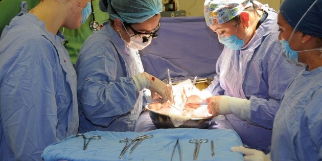 Crecen los trasplantes de &oacute;rganos en Jalisco