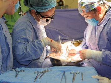 Crecen los trasplantes de órganos en Jalisco