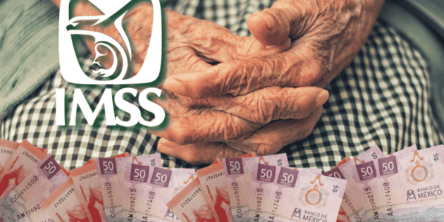 Pensi&oacute;n IMSS: &iquest;Se retrasa el pago de febrero 2026? Esto se sabe