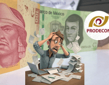 Esta opción está dirigida a personas que, por el momento, no trabajan, no prestan servicios ni obtienen ingresos de ningún tipo, pero que requieren contar con su RFC para realizar otros trámites administrativos o personales. PIXABAY / CANVA