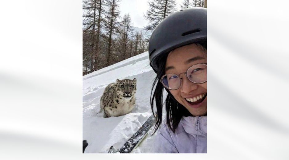 Mujer es atacada por leopardo poco después de tomarse una selfie