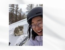 Mujer es atacada por leopardo poco después de tomarse una selfie