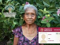 De acuerdo con el catálogo actualizado, las personas adultas mayores con tarjeta o credencial del Inapam pueden acceder a distintos beneficios y descuentos en diversos rubros. ESPECIAL / CANVA e Inapam