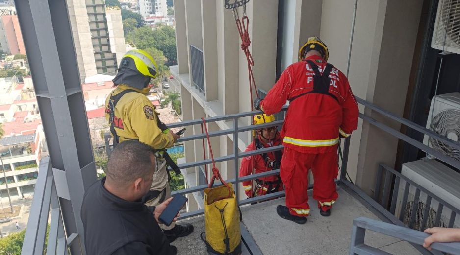 El felino fue localizado en el piso 11 de un inmueble ubicado en avenida Chapultepec. CORTESÍA