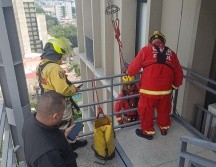 El felino fue localizado en el piso 11 de un inmueble ubicado en avenida Chapultepec. CORTESÍA