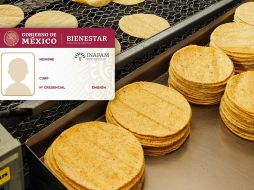 Con la tarjeta INAPAM, las personas adultas mayores pueden obtener descuentos en tortillerías de Jalisco. CANVA/ESPECIAL