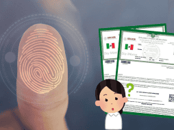 La CURP Biométrica ofrece un registro único que fortalece la identificación oficial de todos los ciudadanos. CANVA/ESPECIAL