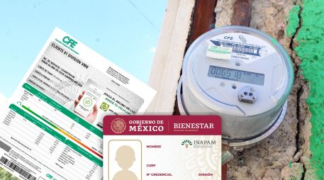 La tarjeta se puede tramitar a partir de que una persona cumple los 60 años para acceder a algunos descuentos, aunque no para todos los pagos. ESPECIAL / EL INFORMADOR, CFE e INAPAM