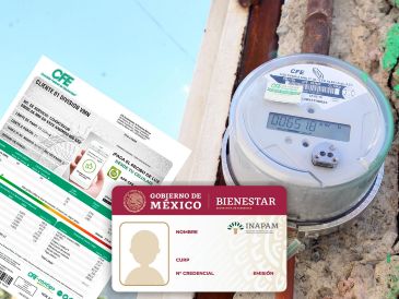 La tarjeta se puede tramitar a partir de que una persona cumple los 60 años para acceder a algunos descuentos, aunque no para todos los pagos. ESPECIAL / EL INFORMADOR, CFE e INAPAM