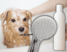 Para que el baño realmente aporte beneficios, es importante prestar atención a ciertos aspectos y evitar errores comunes. ESPECIAL/Unplash