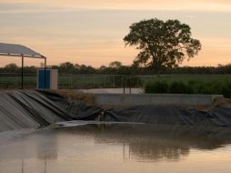 Ayer, lunes 2 de febrero, se celebró el Día Mundial de los Humedales. ESPECIAL
