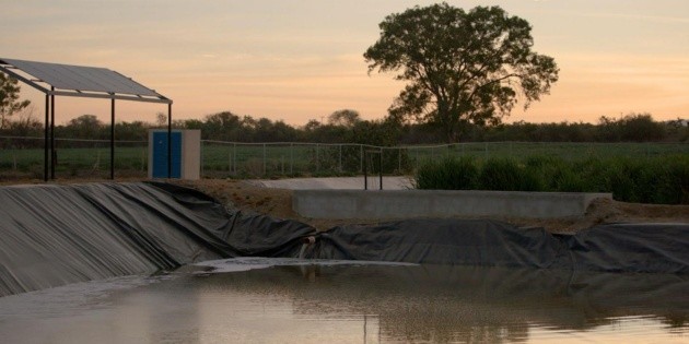 Empresas apoyan en la construcci&oacute;n de humedales en Jalisco