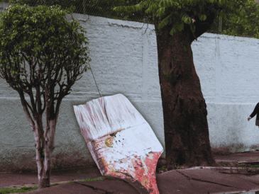 No es pintura como tal, de hecho, no se recomienda utilizar ninguna; es más bien cal hidratada, también llamada cal apagada o hidróxido de calcio. EL INFORMADOR / ARCHIVO