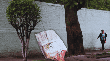 No es pintura como tal, de hecho, no se recomienda utilizar ninguna; es más bien cal hidratada, también llamada cal apagada o hidróxido de calcio. EL INFORMADOR / ARCHIVO