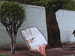 No es pintura como tal, de hecho, no se recomienda utilizar ninguna; es más bien cal hidratada, también llamada cal apagada o hidróxido de calcio. EL INFORMADOR / ARCHIVO