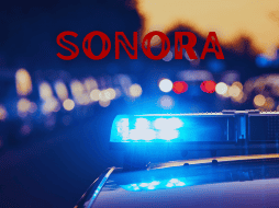 Se investiga el entorno personal y laboral de la víctima con el fin de establecer el posible móvil del crimen. ESPECIAL / CANVA