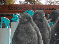 Te recordamos que el Zoológico Guadalajara se encuentra muy cerca de la Barranca de Huentitán. ESPECIAL/ EL INFORMADOR/ ARCHIVO