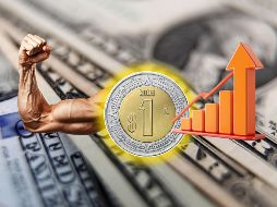 Este es el tipo de cambio de dólar a peso mexicano del día de hoy. EFE / ARCHIVO