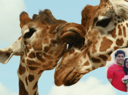 La ceremonia se realizará el sábado 14 de febrero en el Jardín Cabús. ESPECIAL/ Unsplash/ Facebook/ Zoológico de Morelia 