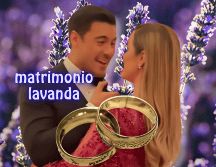 El matrimonio lavanda es una prueba de cómo la sociedad ha modificado sus interacciones y vínculos. INSTAGRAM / @cynoficial / UNSPLASH / S. MILLAR / UNSPLASH / B. JALAHEJ