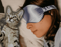 Un error común entre los propietarios es asumir que el gato tiene hambre cuando maúlla de madrugada. ESPECIAL