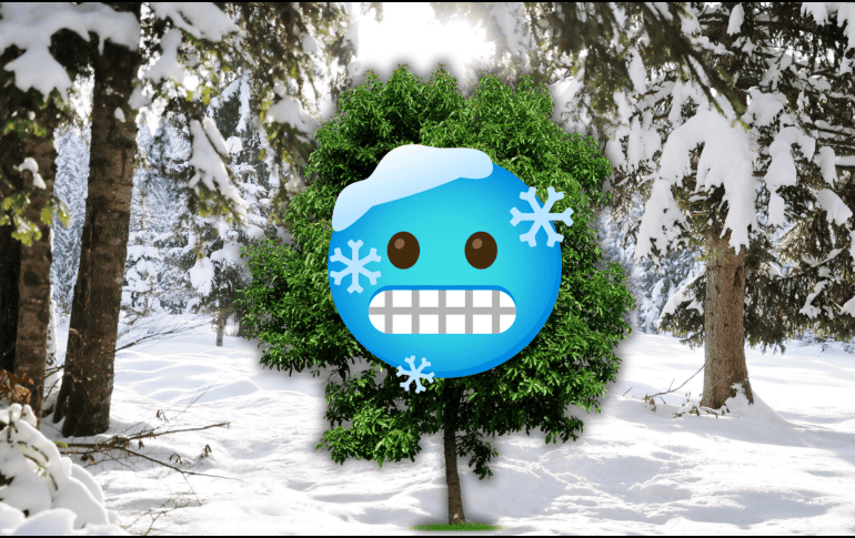 Las bajas temperaturas reducen la pérdida de agua, lo que disminuye el riesgo de deshidratación. ESPECIAL