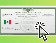 La CURP certificada confirma información clave como nombre completo, fecha de nacimiento, sexo y entidad federativa. ESPECIAL